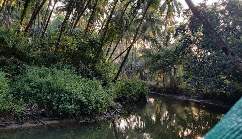 فندق Saturn Beach Cottage