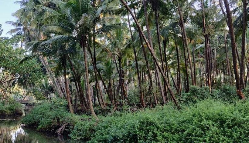 فندق Saturn Beach Cottage