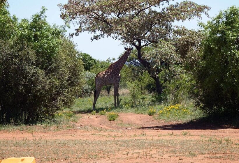 Hotel Tranquillity Day Spa & Lodge