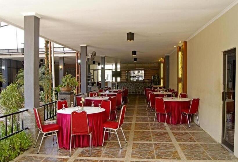 モーテル The Winner Premier