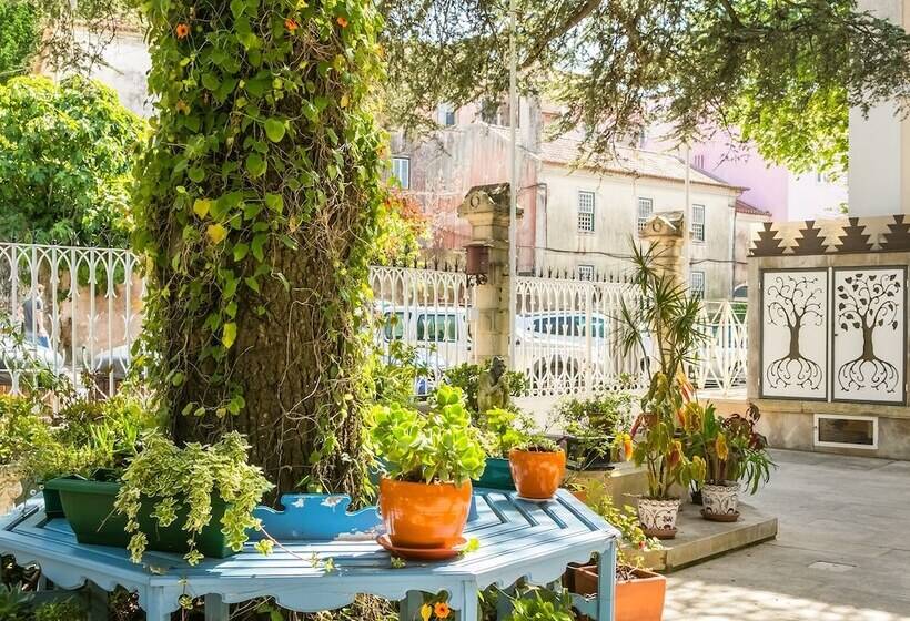 پانسیون Chalet Saudade