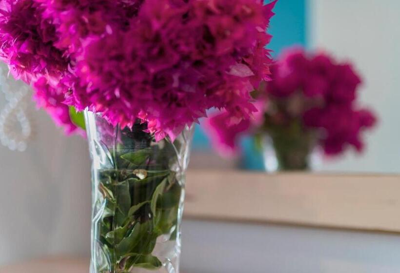 פנסיון Poseidon Apartments