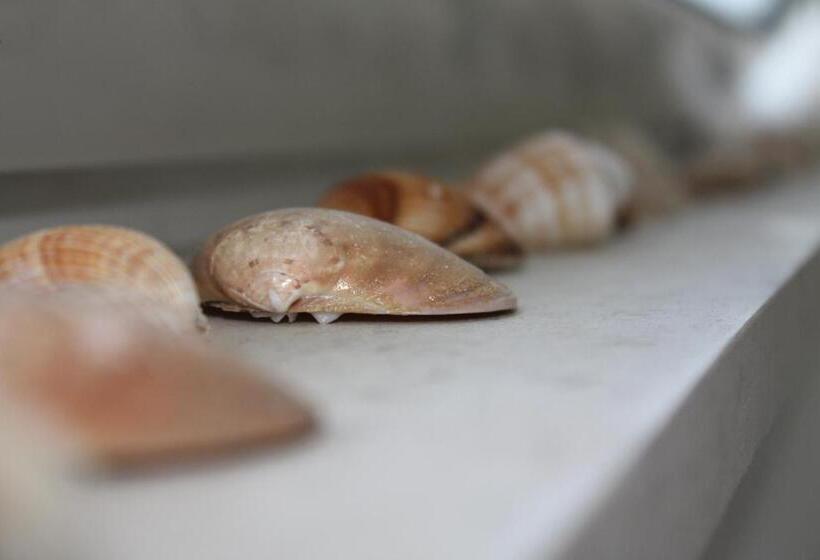 פנסיון Poseidon Apartments