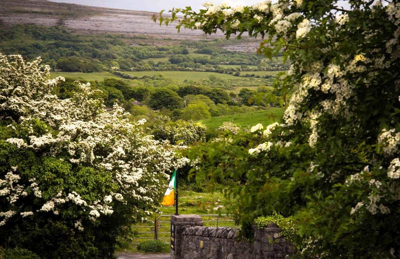 Пансион The Waters Country House