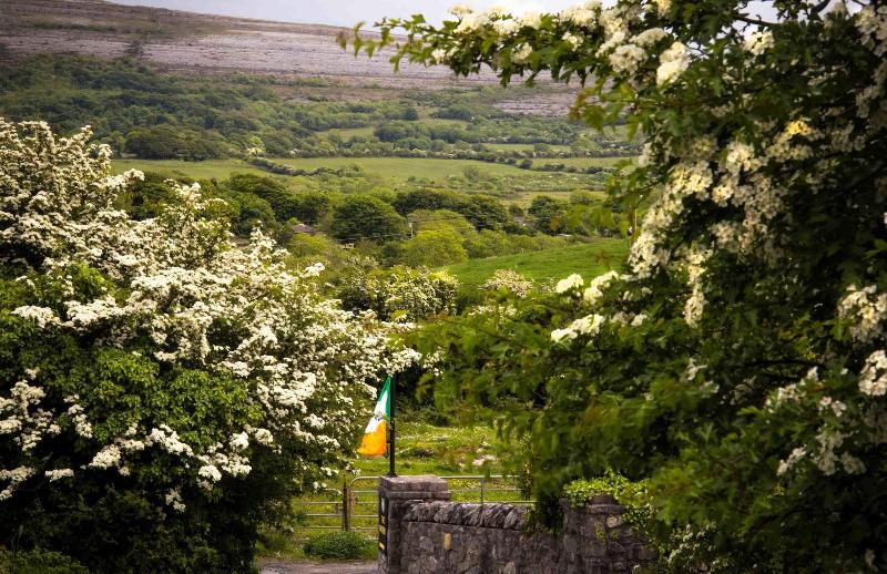 Пансион The Waters Country House