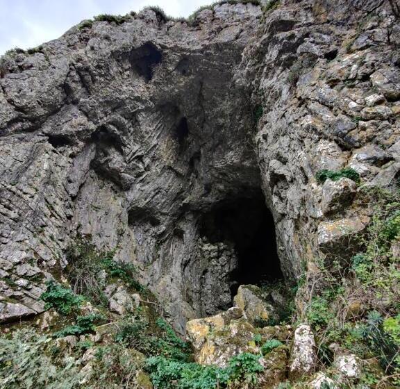 Retiro Do Bosque Country House