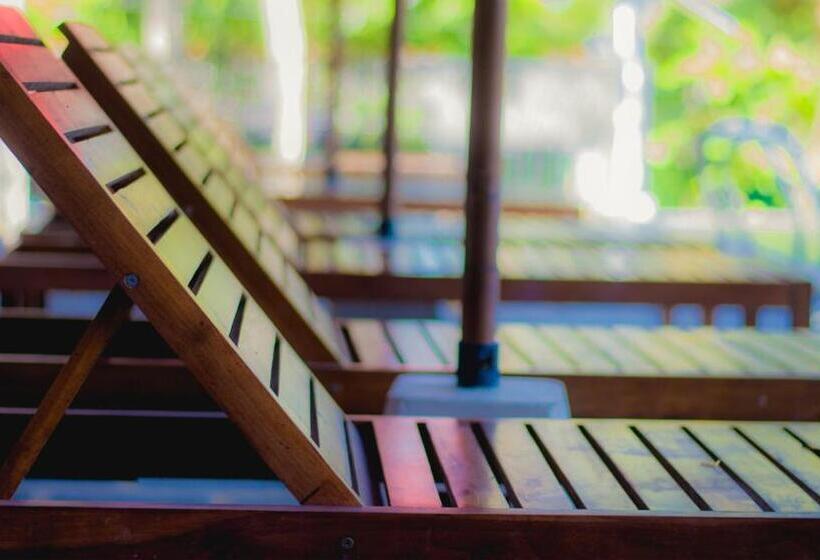 酒店 Ballena Regency