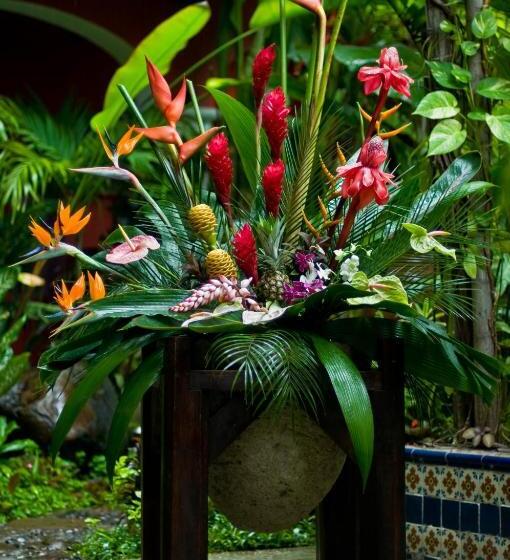 ホテル Boutique Casona Maya Mexicana