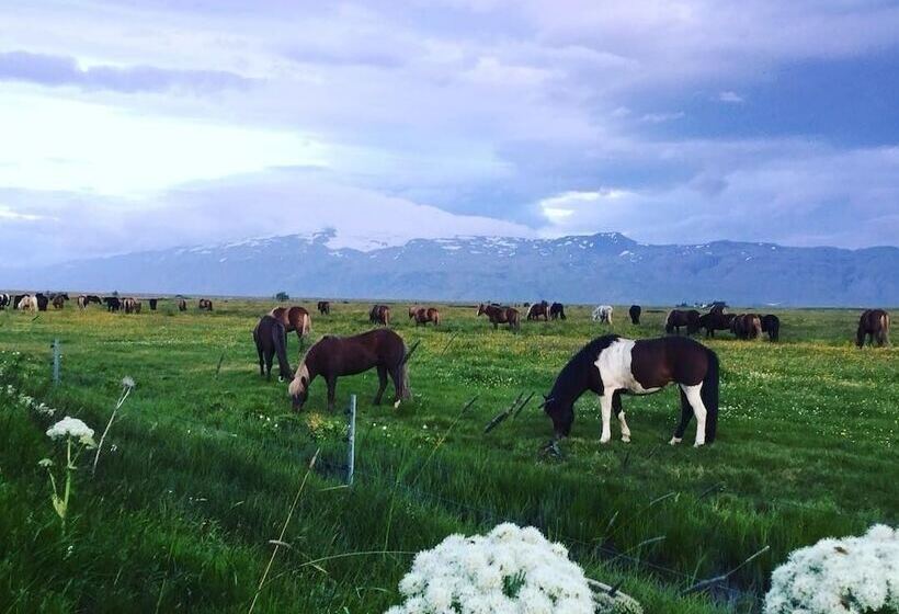 هتل Hótel Fljótshlíd