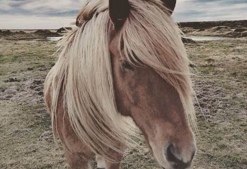 هتل Hótel Fljótshlíd