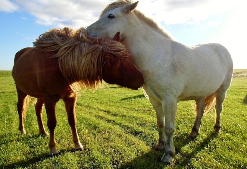 هتل Hótel Fljótshlíd