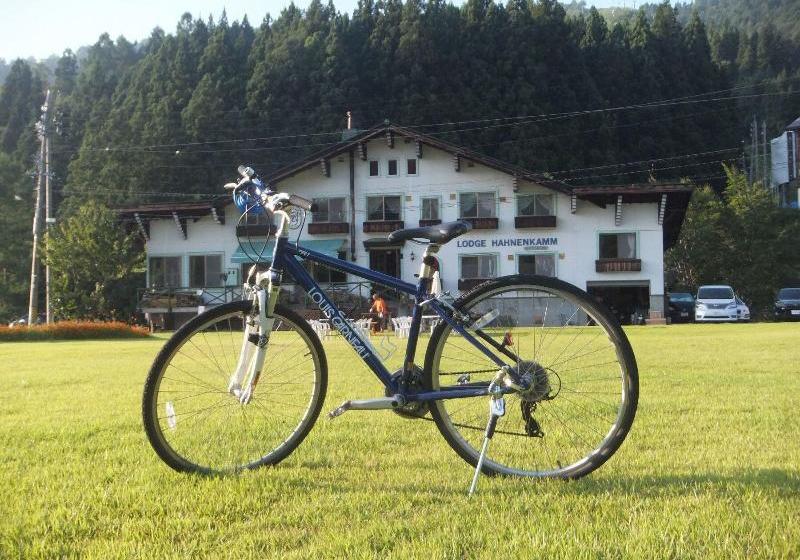 Отель Lodge Hahnenkamm