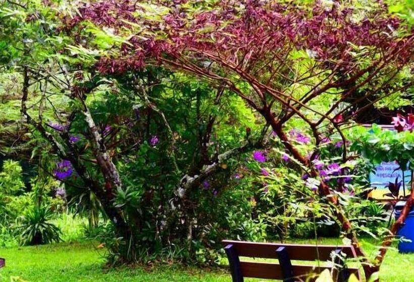 酒店 Pousada Duda Mel