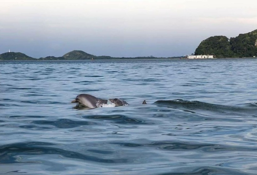 酒店 Pousada Duda Mel