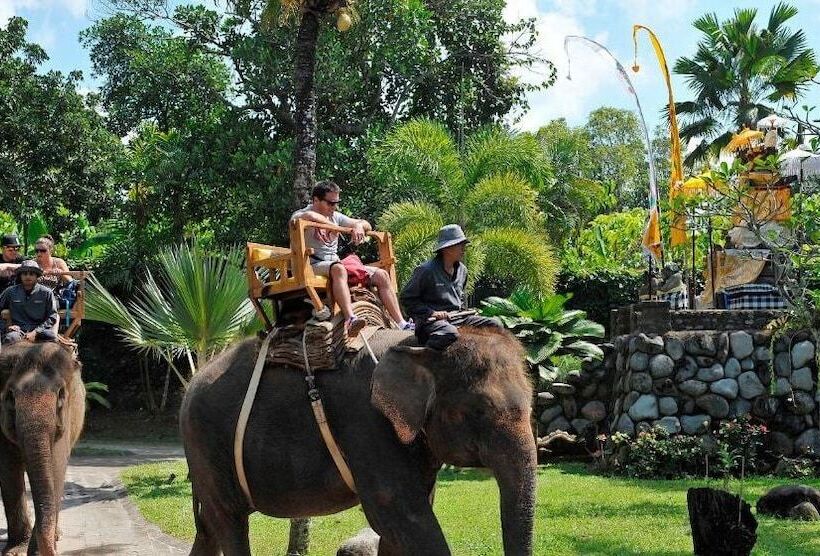 Отель The Bali Purnati Center For The Arts