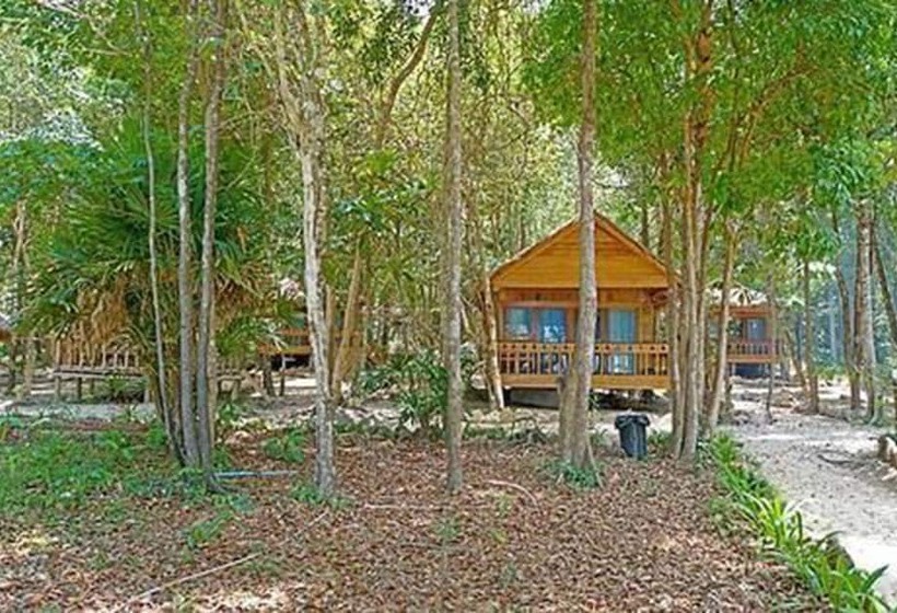 Отель Tree House Bungalows
