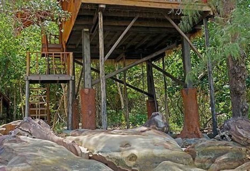 Отель Tree House Bungalows
