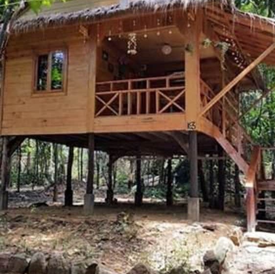 Отель Tree House Bungalows