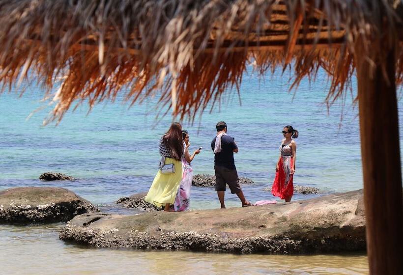 Отель Tree House Bungalows