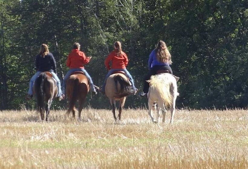 酒店 Wilderness Tours Rafting Resort