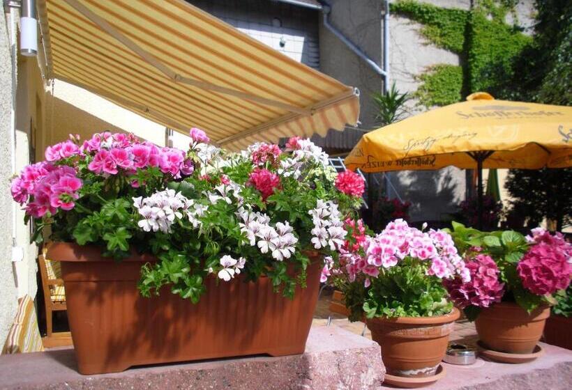 ペンション Gasthaus Forelle