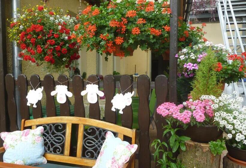 ペンション Gasthaus Forelle