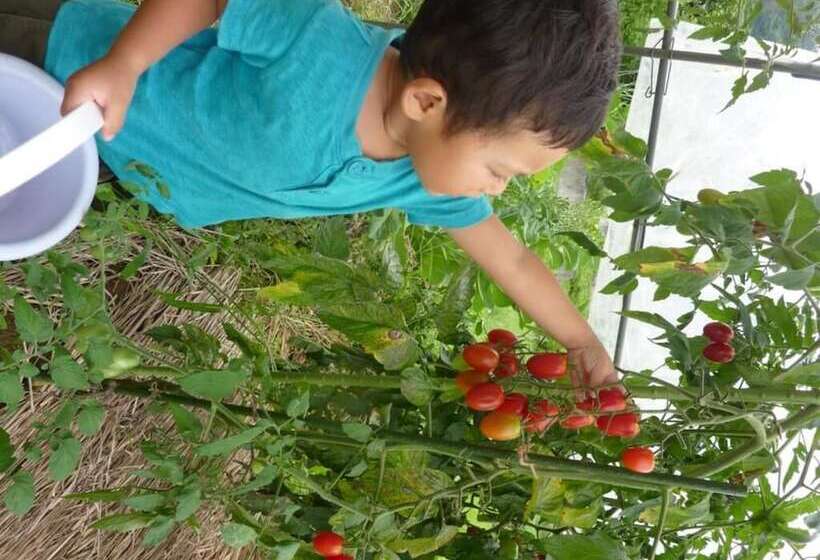 پانسیون Lodge Denbey