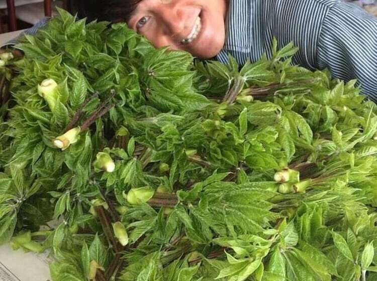 بنسيون Lodge Yamajyuu