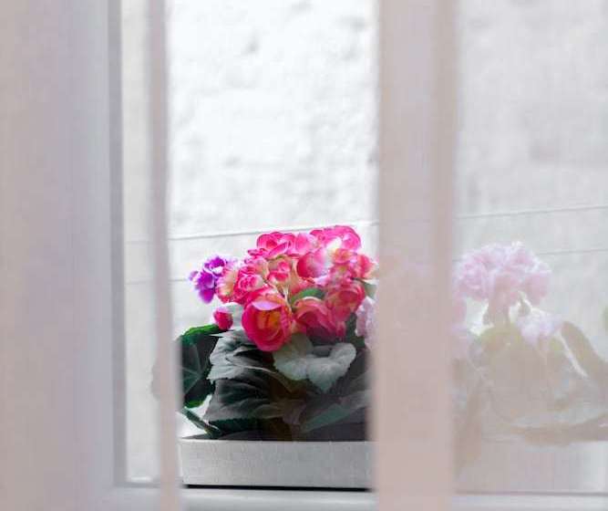 膳宿费 Marti Luxury Rooms