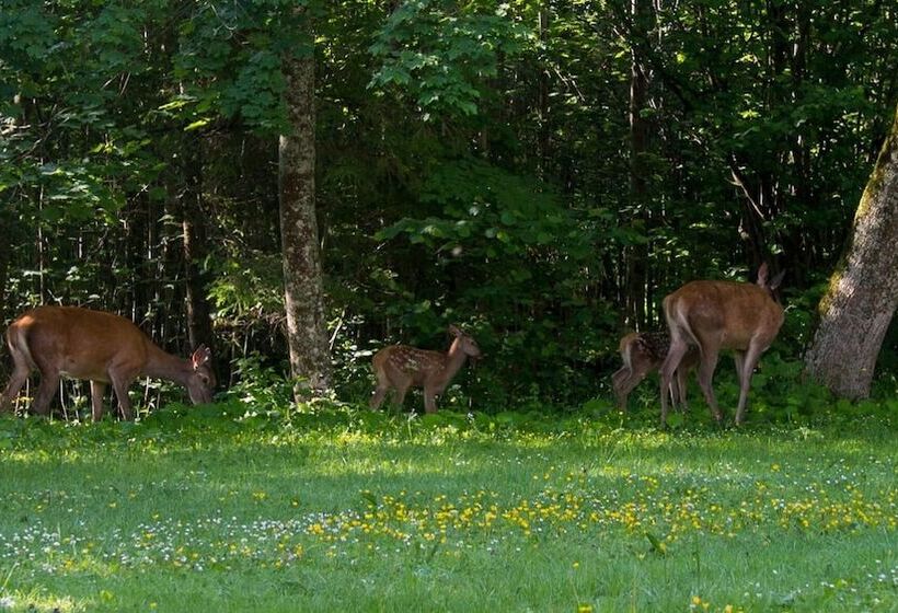 펜션 Penzión Jesenský