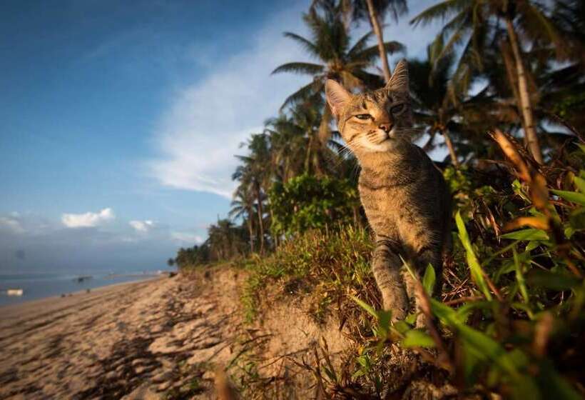 پانسیون Viento Del Mar