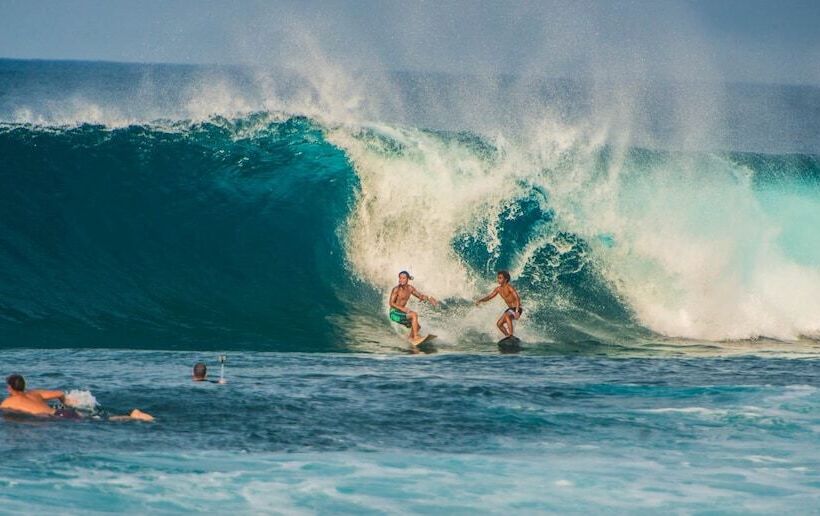 پانسیون Viento Del Mar