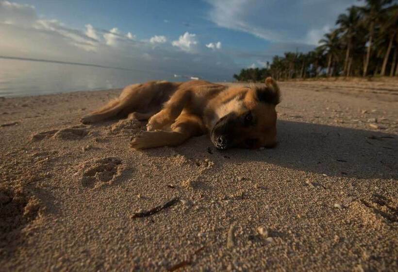 پانسیون Viento Del Mar
