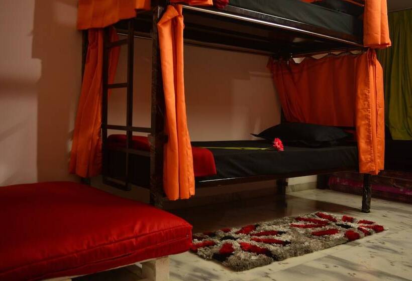 Social Rehab Downtown Hostel