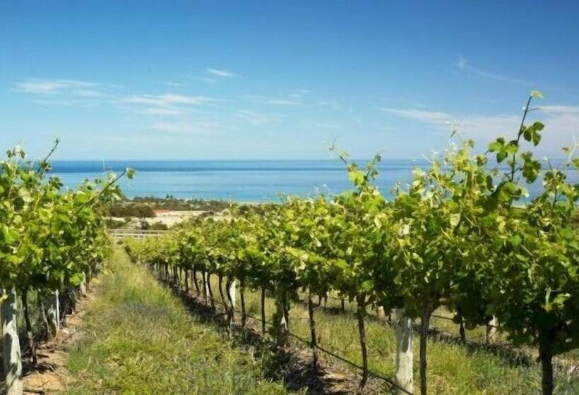 فندق صغير Mclaren Vale Backpackers