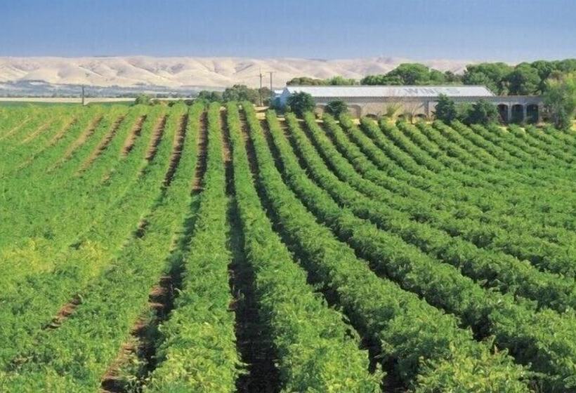 旅馆 Mclaren Vale Backpackers