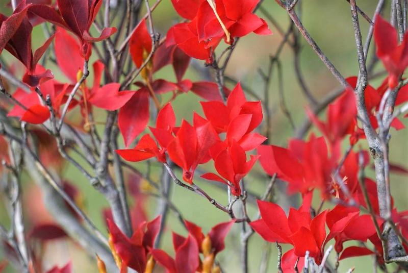 הוסטל Sansan Cafe And Bar & Backpackers