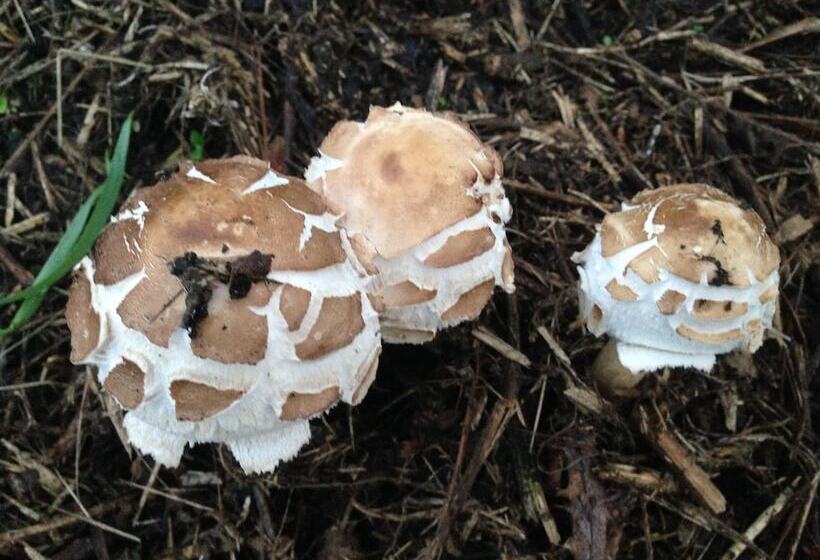 B&b La Chambre De L Anthropologue