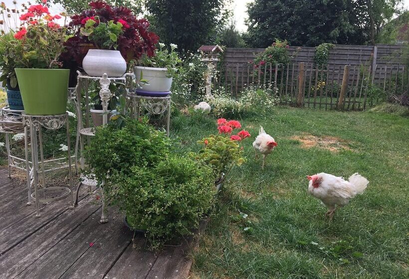 B&b La Chambre De L Anthropologue