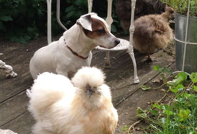 B&b La Chambre De L Anthropologue