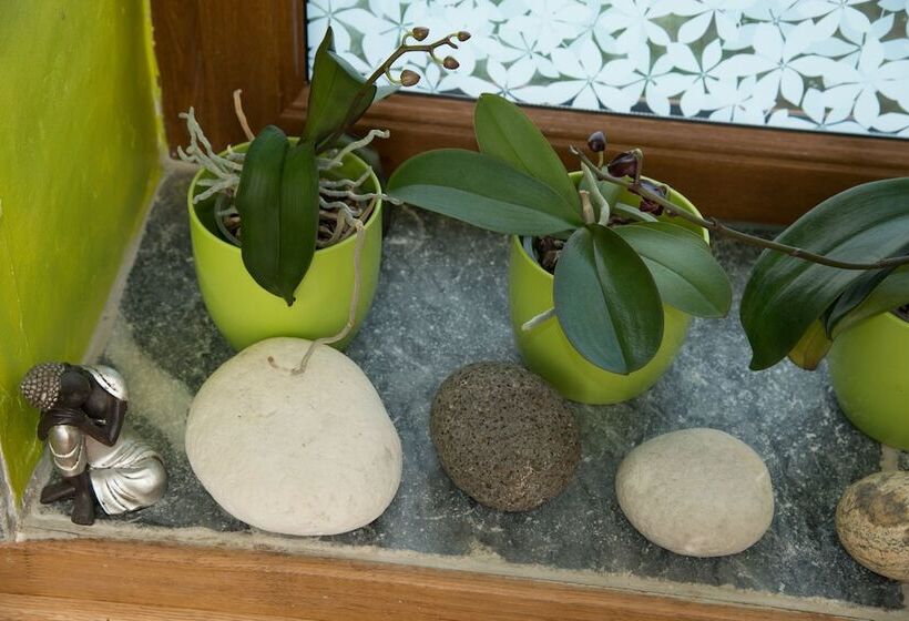 B&b La Chambre De L Anthropologue