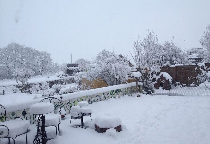 B&b La Chambre De L Anthropologue