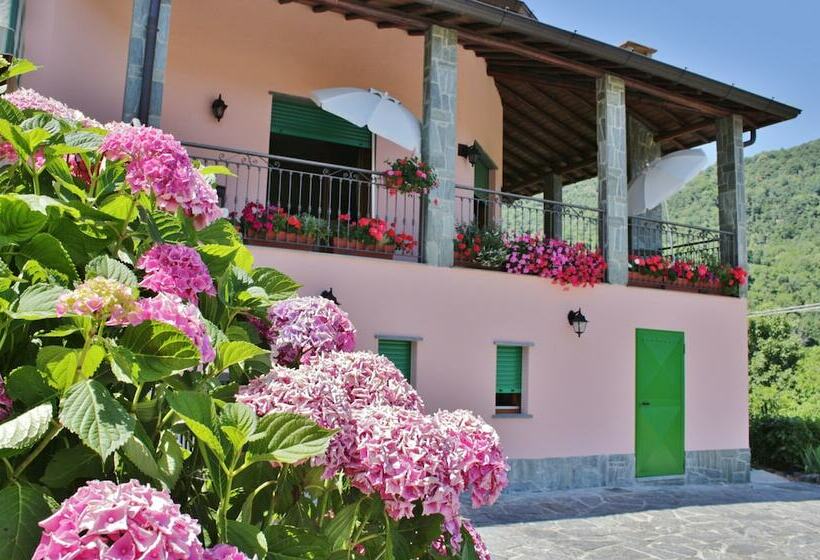 Bed And Breakfast Le Ortensie