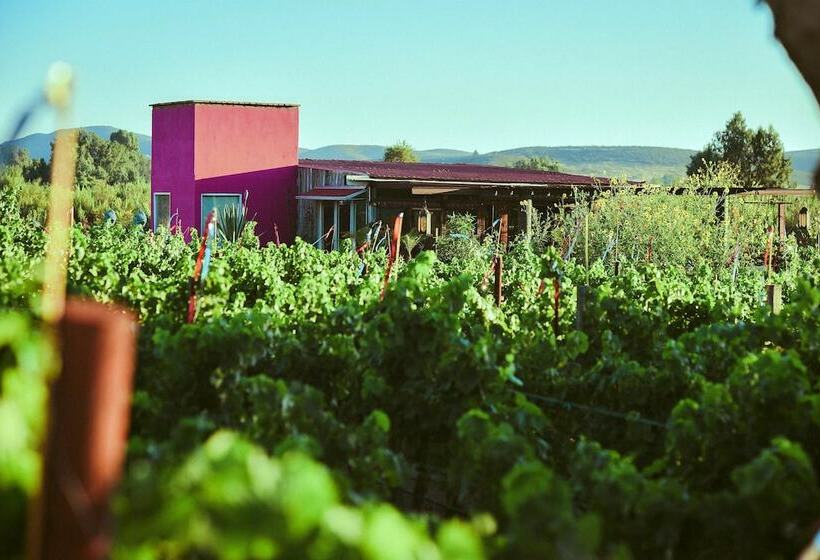 Ecléctico Guadalupe