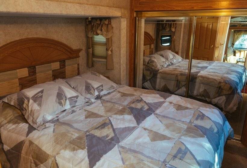 Ecléctico Guadalupe