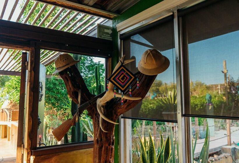 Ecléctico Guadalupe