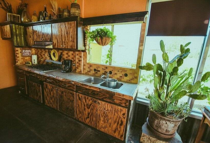 Ecléctico Guadalupe