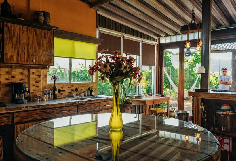 Ecléctico Guadalupe