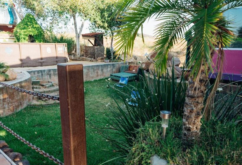 Ecléctico Guadalupe