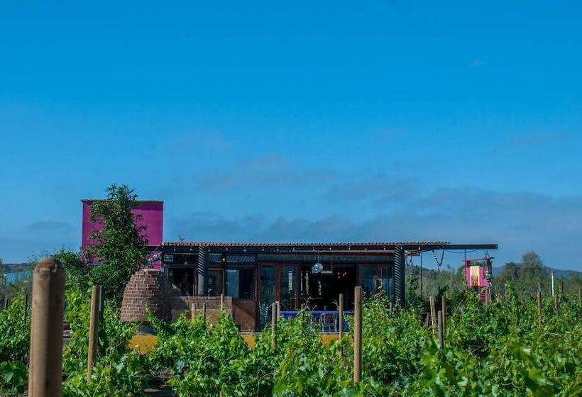 Ecléctico Guadalupe